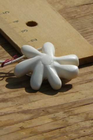 bone_nr_131