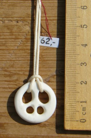 bone_nr_134