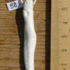 bone_nr_130