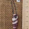 zebra_nr_1036