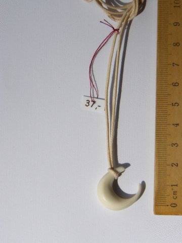 bone_Nr_104