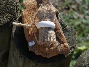 bone_nr_142