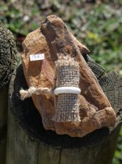 bone_nr_145
