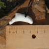 bone_nr_140