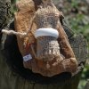 bone_nr_142