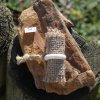 bone_nr_145