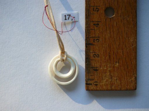 bone_Nr_42