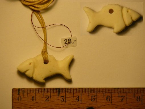 bone_Nr_53